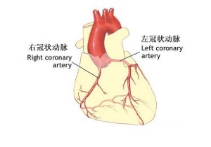 全球冠状病毒最新动态与未来疫情展望